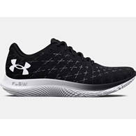 men's ua flow velociti wind 2 running sh