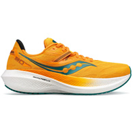 saucony men's triumph 20
