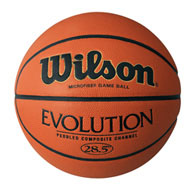 wilson womens evolution game ball 28.5